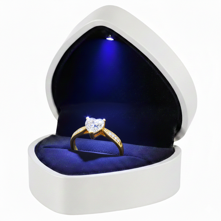 Premium Herz Box
